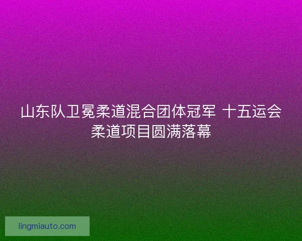山东队卫冕柔道混合团体冠军 十五运会柔道项目圆满落幕